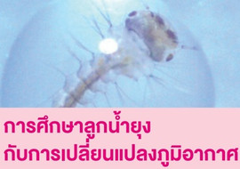 การศึกษาลูกน้ำยุงกับการเปลี่ยนแปลงภูมิอากาศ พารามิเตอร์รูปภาพ 1